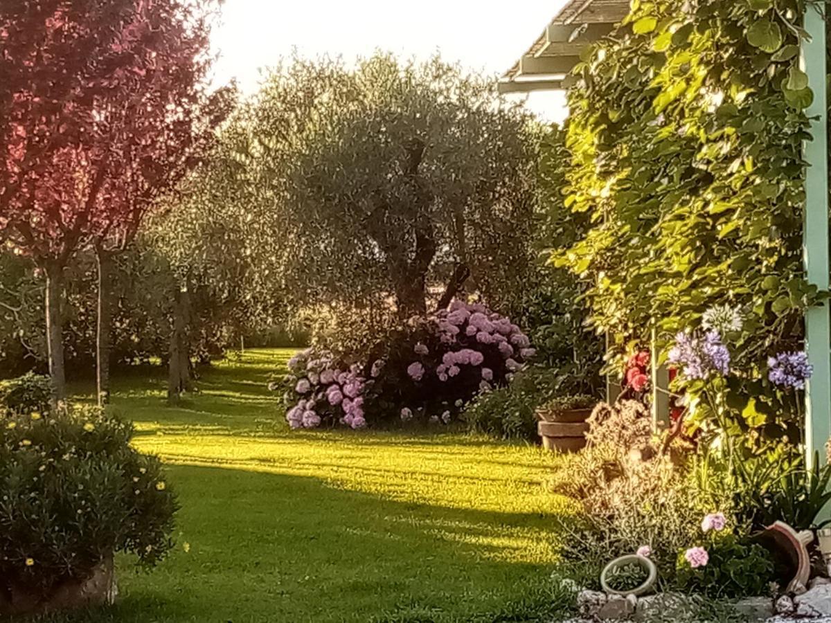 Vecchio Casale Margherita Camaiore Exterior foto